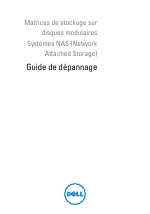 Dell PowerVault NX300